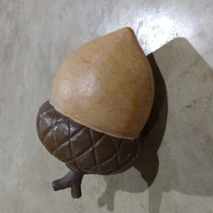 Acorn